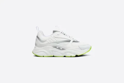 Dior B22