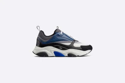 Dior B22