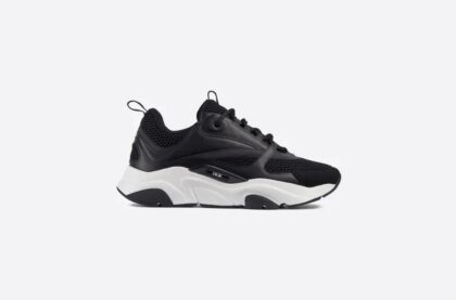 Dior B22