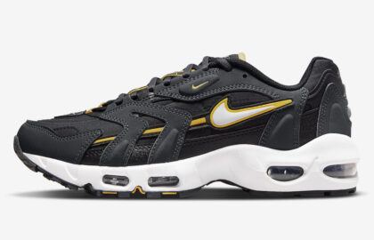 Nike air max 96