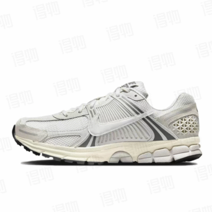 Nike - Vomero "platinium tint"