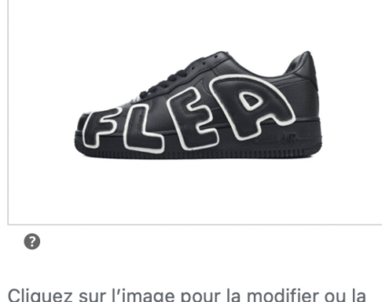 Nike Air force flea