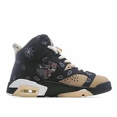 Air Jordan 6 x Travis Scott