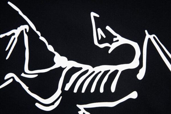 Tee Shirt Arc'teryx - Image 2